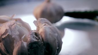 garl视频素材视频素材