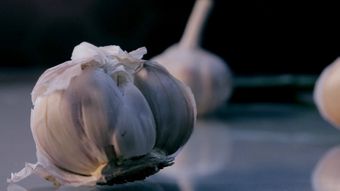 garl视频素材视频素材