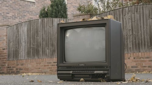 Video of Leaves Falling on a Television