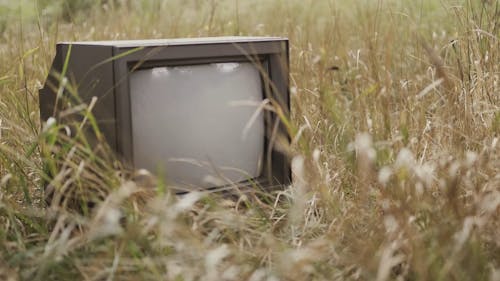Video of Television on the Grass