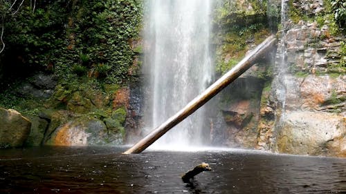 A Big Waterfalls in the Jungle