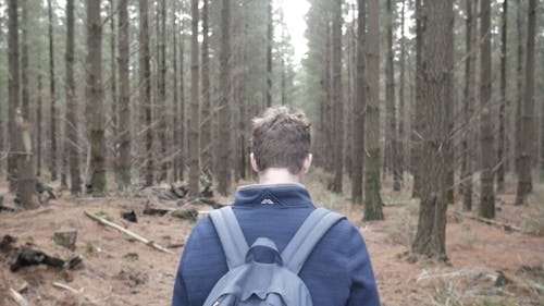 A Man Walking in the Woods