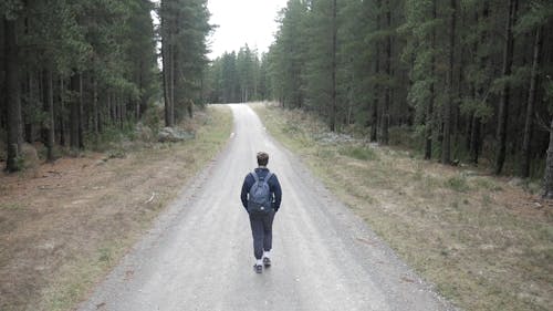 Man Walking on Road Among Pine Trees