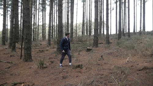 Young Adult Walking Alone in The Woods