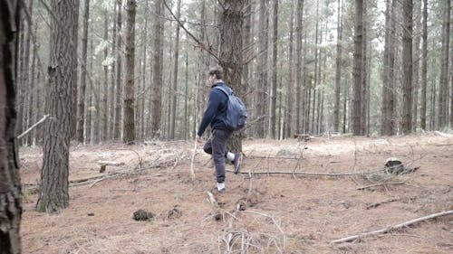 A Man Walking in the Woods