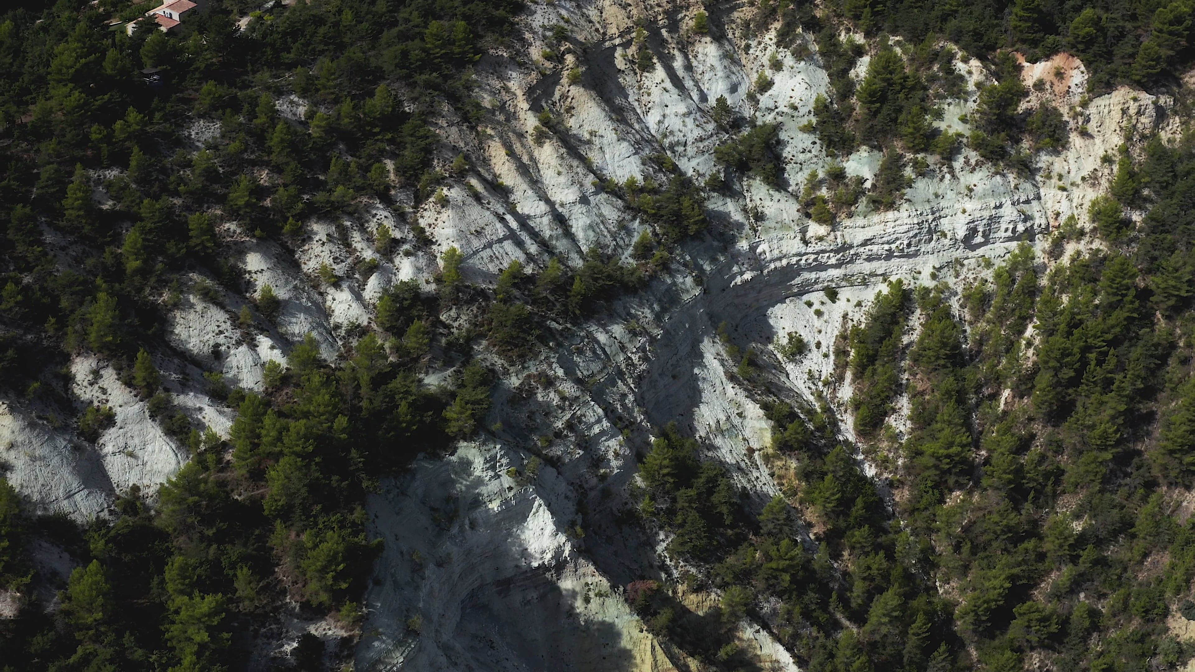 Drone Footage Of The Mountain Forest · Free Stock Video