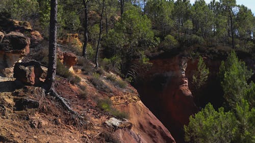 Drone Footage Of The Mountain Forest