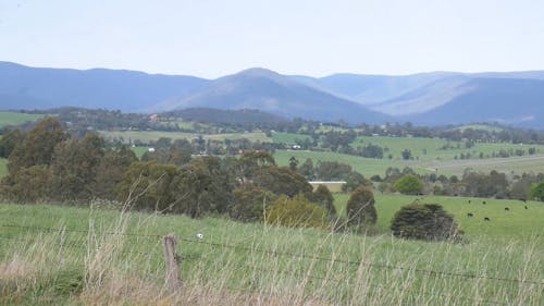 Livestock Farming in Rural Areas