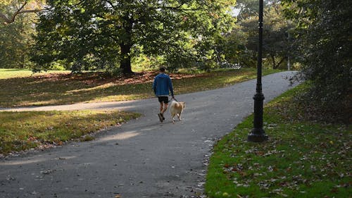 A Man Walking with His Dog