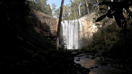 Beautiful Forest Waterfall