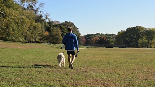 Man Walking his Dog in a Park