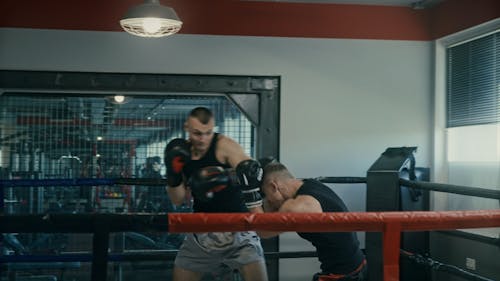 People Boxing in a Ring