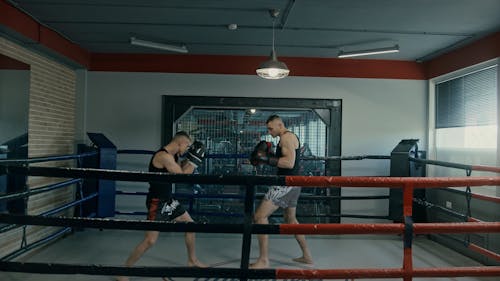 Two Boxers in a Boxing Ring