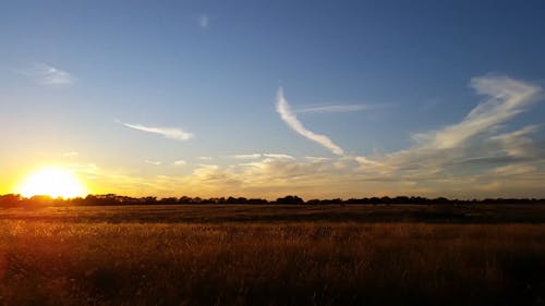 Video of Sunset on the Field