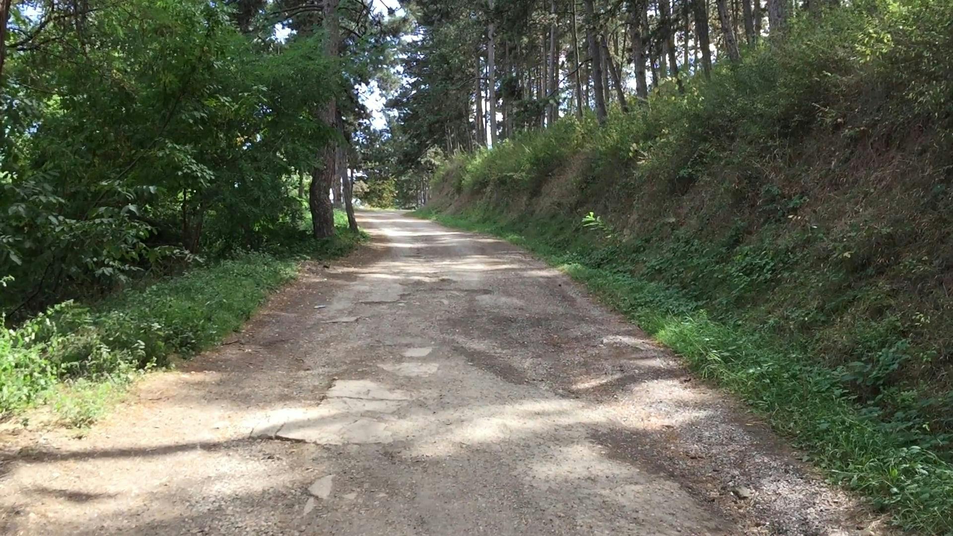 Video by Vladimir Logos