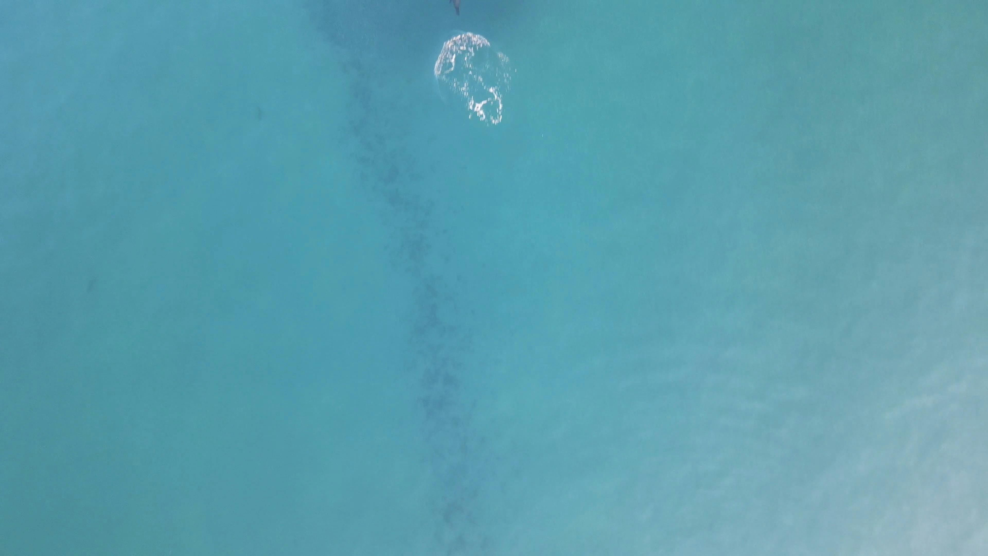 Video by Makai Castle