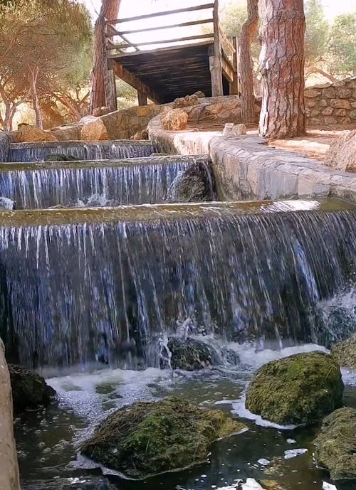 Waterfalls in the Forest