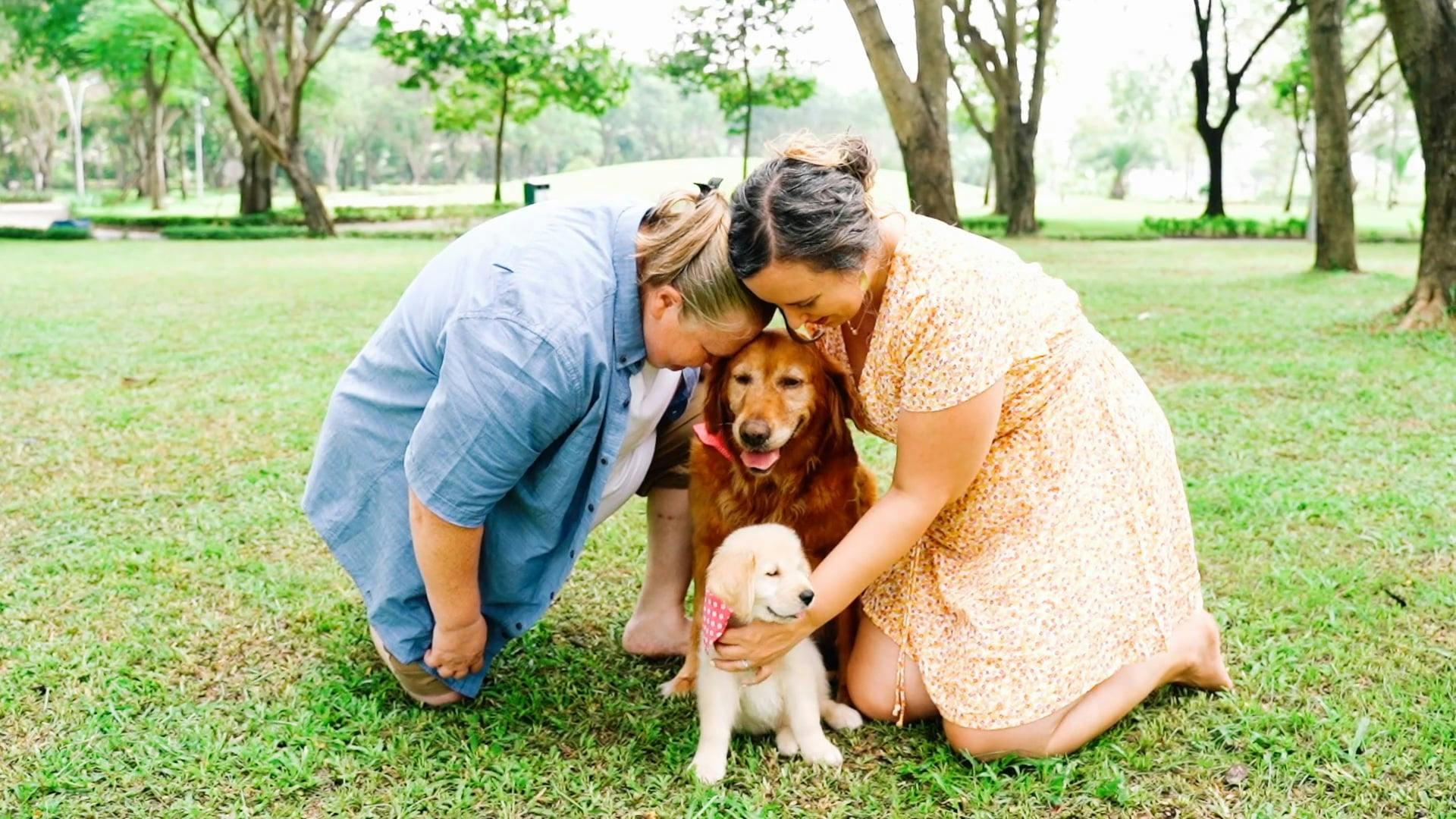 Two People Petting an Adult dog and its Puppy · Free Stock Video