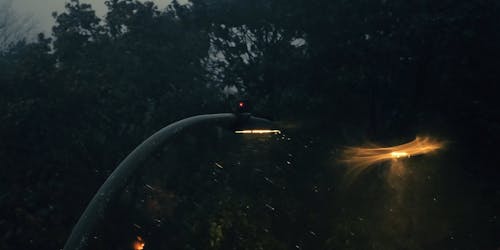 Street Lamps on Rainy Evening