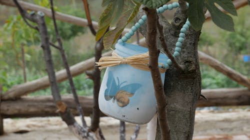 Blue Jar Hanging On a Branch of Tree