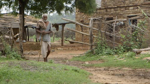 Old Man Walking with a Cane