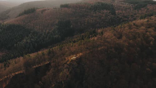 Aerial Footage of Trees on Mountains