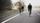 road bike