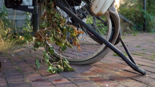 Video of a Broken Bicycle 