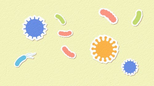 Medicines and Microorganisms Animation