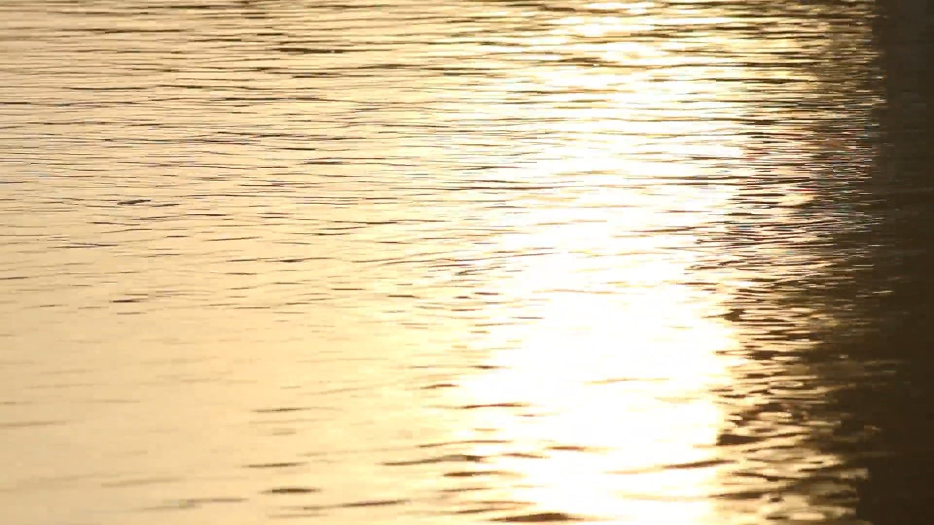 Golden Sunlight Reflected on the Water Free Stock Video Footage ...
