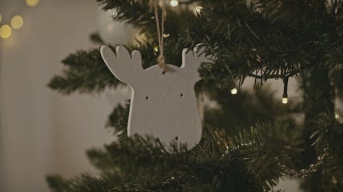 Close Up Video of a Christmas Ornament