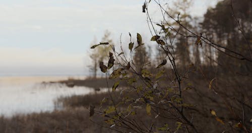 Mystic Lake and Surroundings