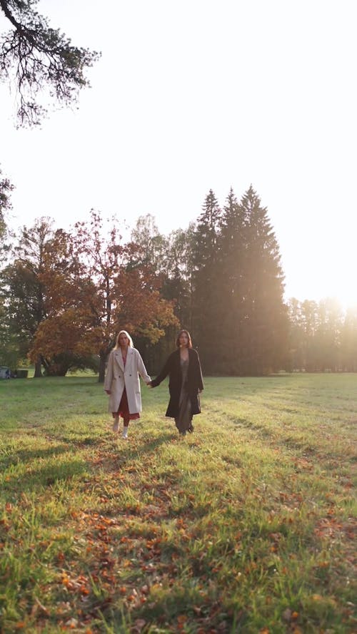 Women Holding Hands Walking in a Park 