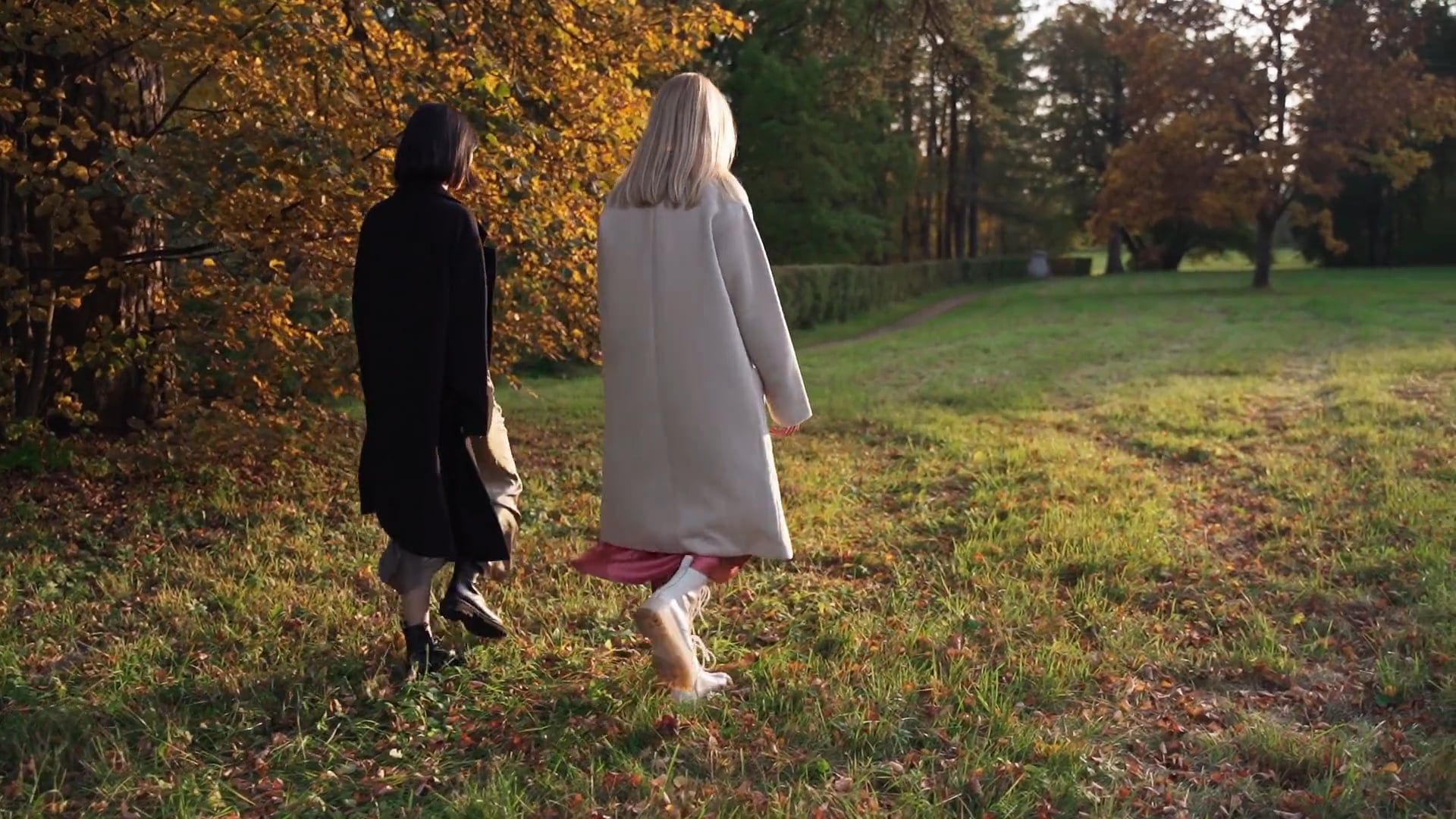 Back View of a Women Walking in a Forest · Free Stock Video