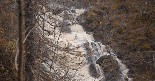 Waterfall in the Forest