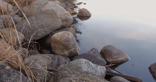 Lake Border