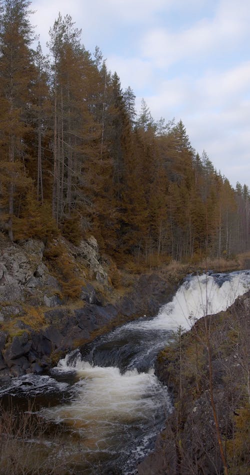 Waterfall in The Forest 