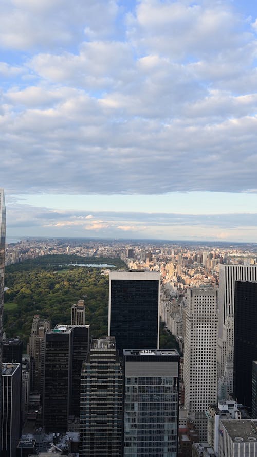 Top View of The Central Park in New York City 