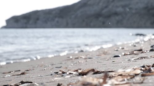 Sea Waves on a Sandy Beach