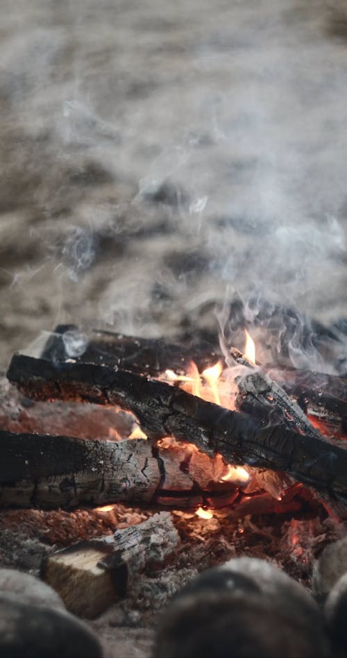 Close View of a Camp Fire