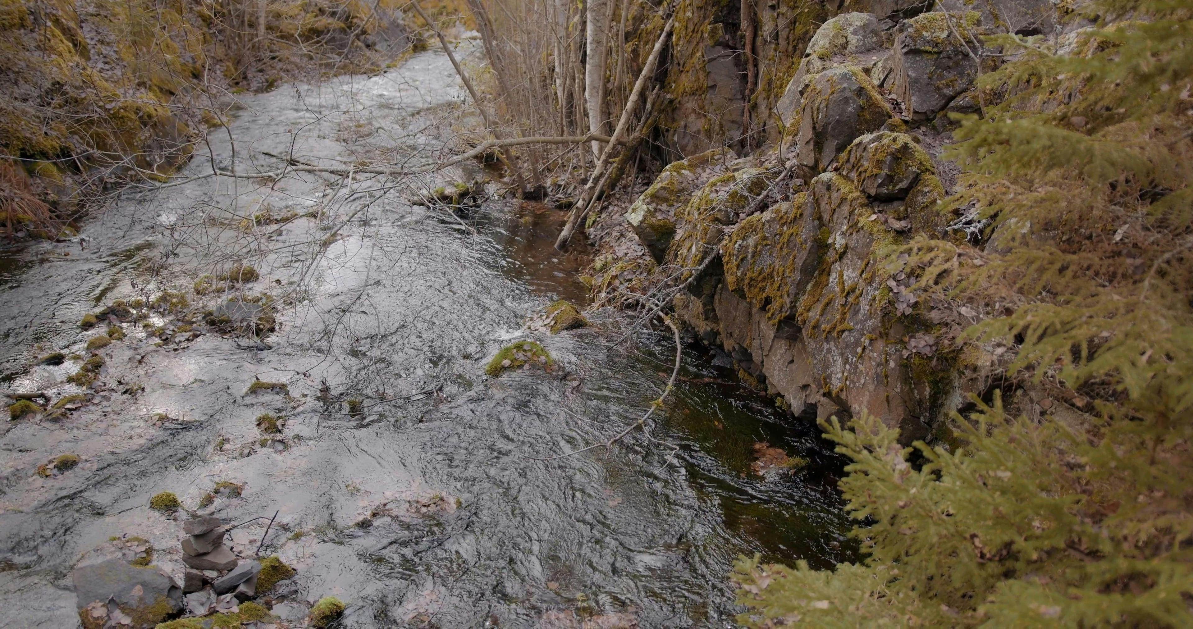 Video by KATRIN  BOLOVTSOVA