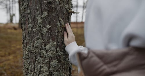 Woman Touching a Mossy Tree