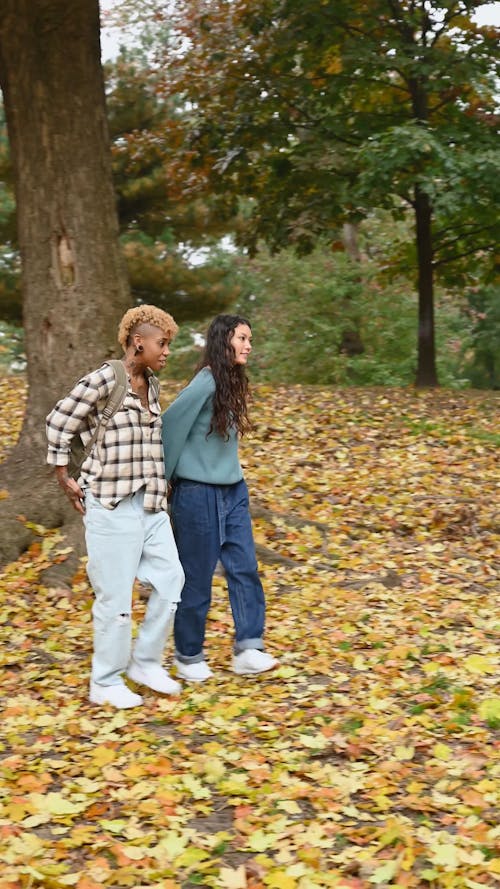 Women Holding Hands and Walking in a Park in Autumn 