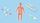 medical animation