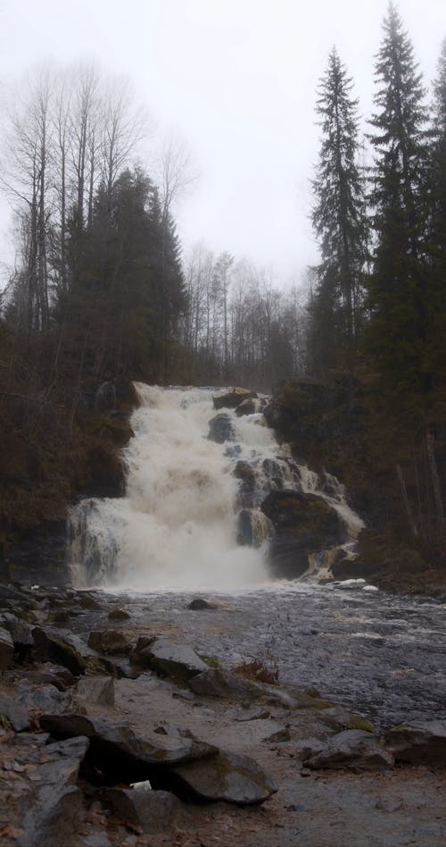 Big Waterfall in the Woods