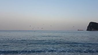 海边高清视频高清视频视频素材视频素材