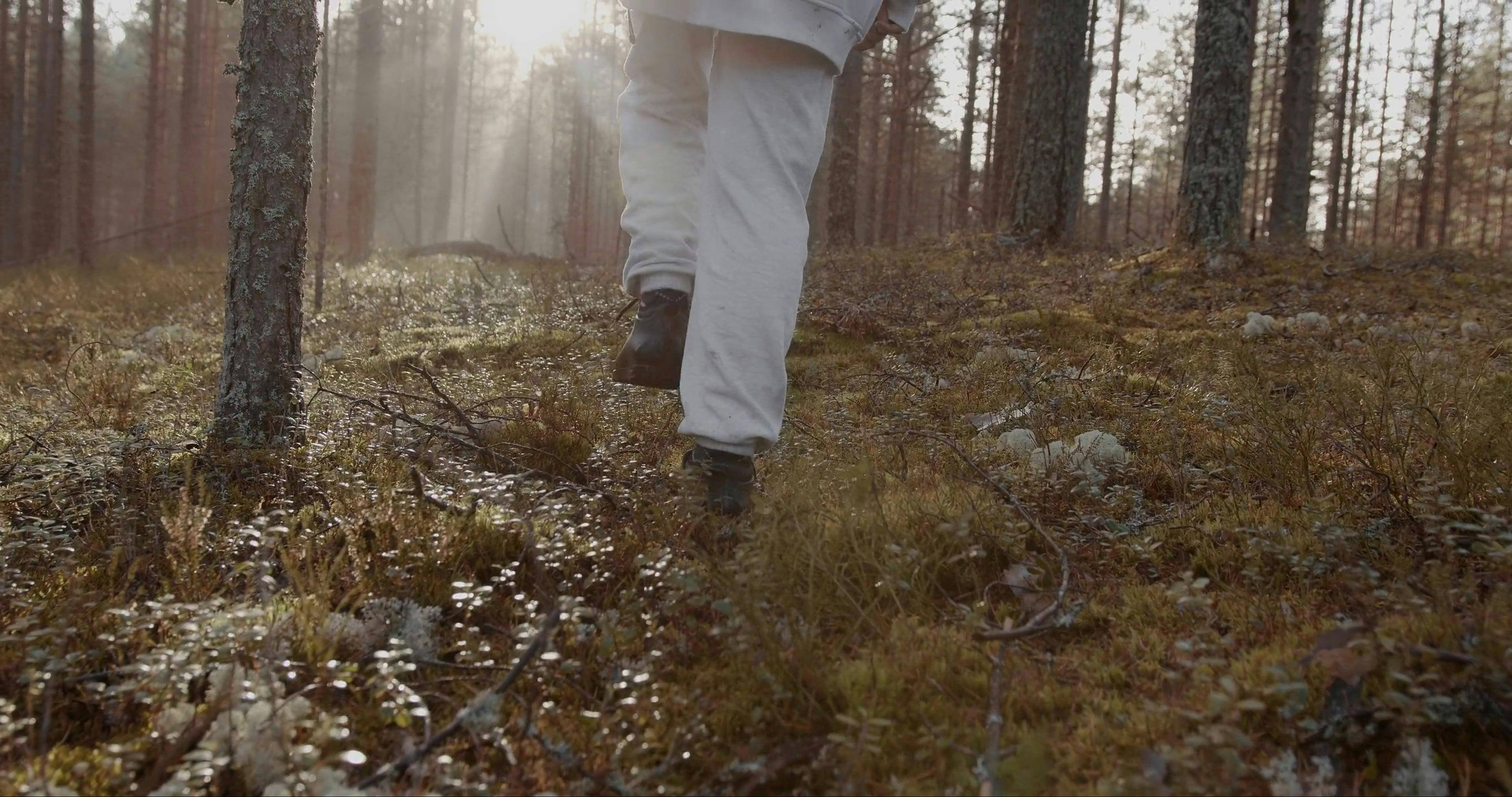 Ground Level Shot of a Woman Walking in the Forest · Free Stock Video