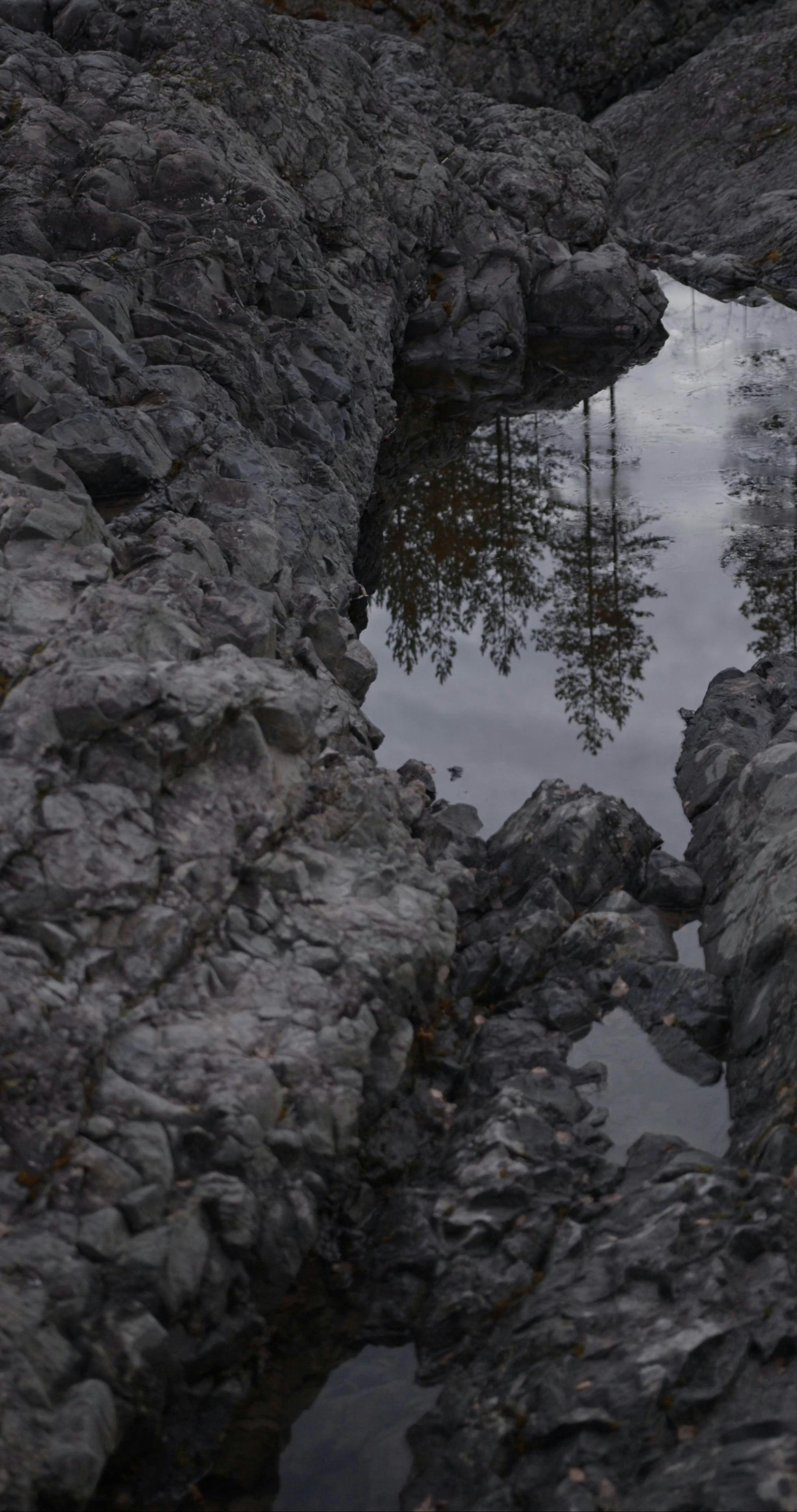 Video by KATRIN  BOLOVTSOVA