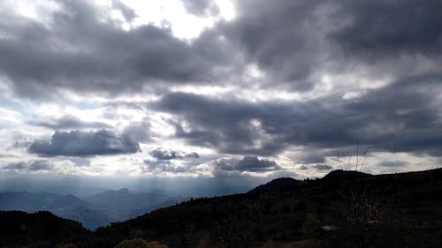 Horizon View of Forest Over Cloudy Sky