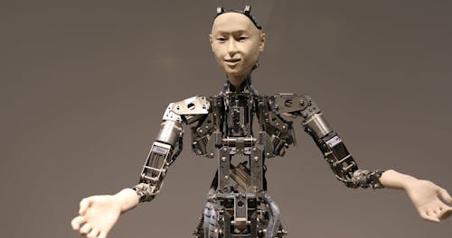 Humanoid Robot Moving